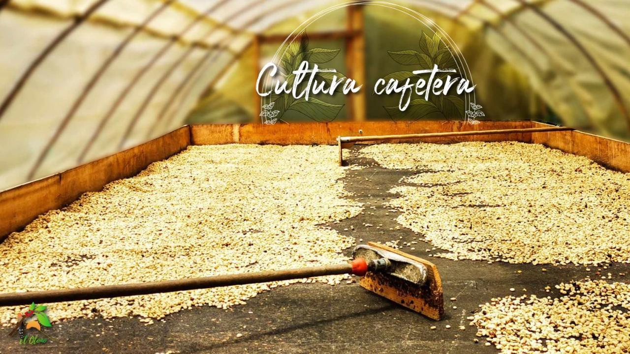 Finca Tradicional El Otono Pijao Exterior foto